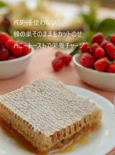 コムハニー120g　