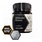 PBeesマヌカハニーMGO570+(旧UMF16+表記)