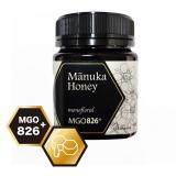 PBeesマヌカハニー最高級クラスMGO826+(旧UMF20+表記)